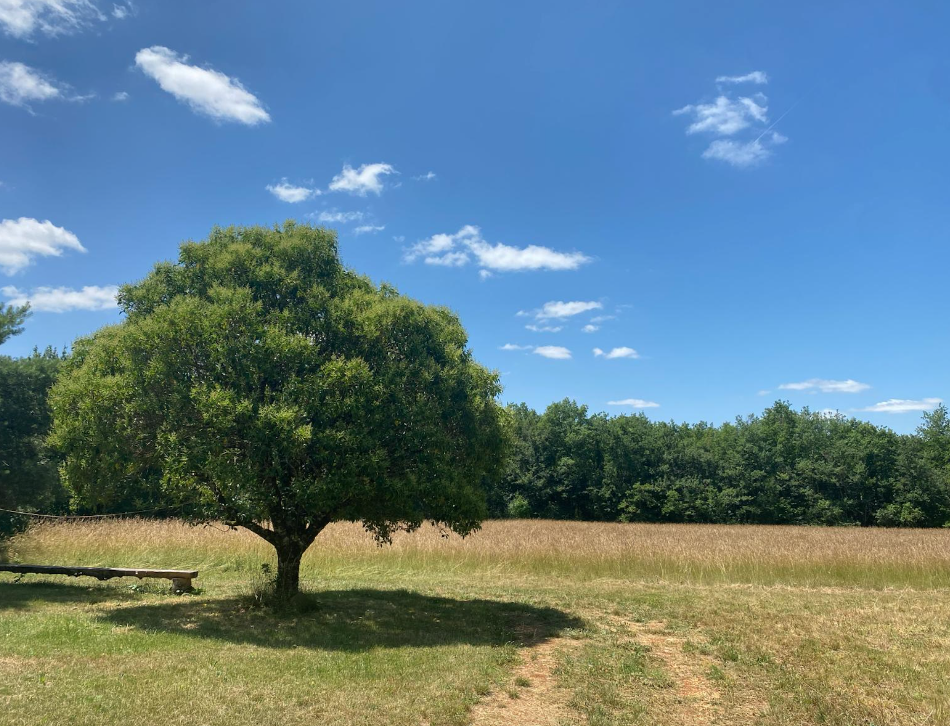 Peaceful retreat setting